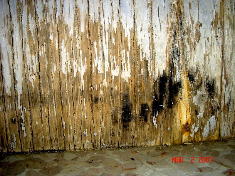 Close Up Black Mold Under Sink Photo by f0ldmaster Photobucket