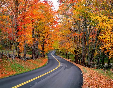 Autumn-Road-L2.jpg