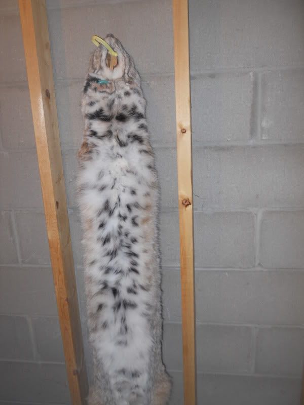 DSCN3995.jpg