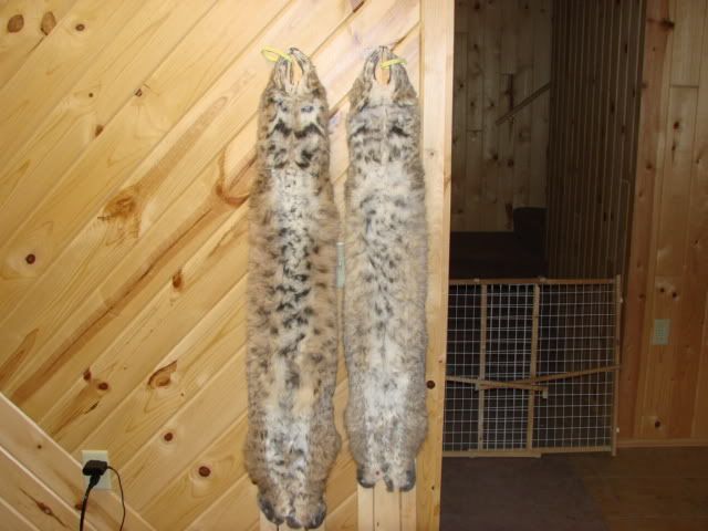 DSC03800.jpg