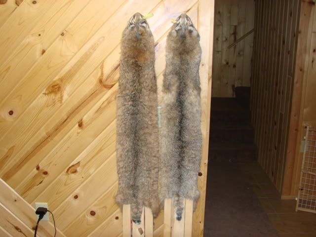 DSC03803.jpg