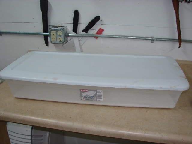 DSC03929.jpg