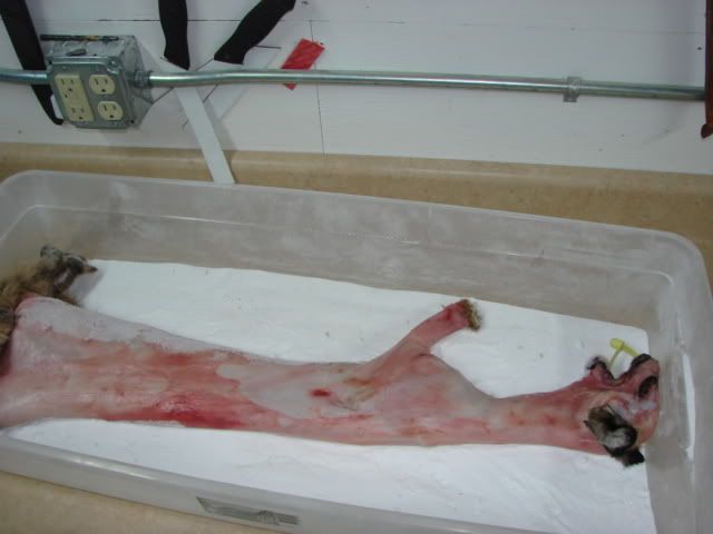 DSC03932.jpg