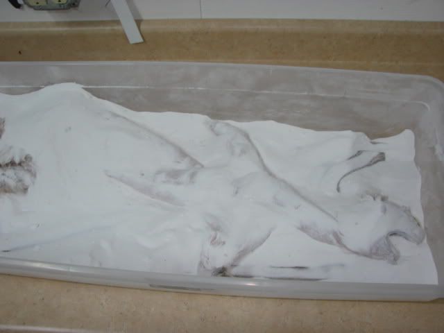 DSC03934.jpg