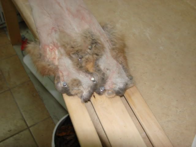 DSC03940.jpg