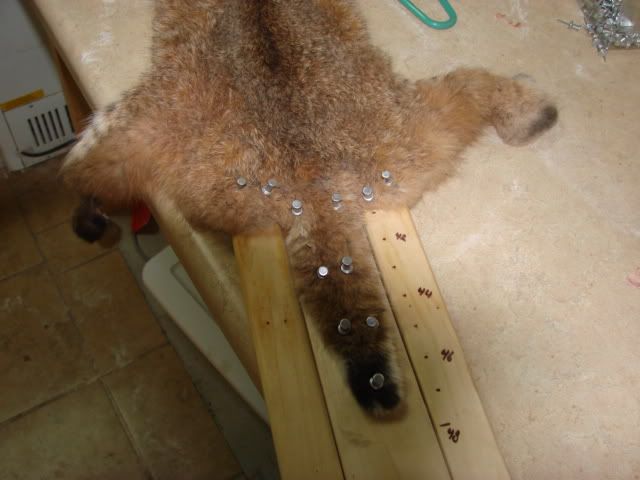 DSC03957.jpg