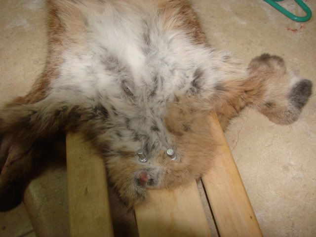DSC03959.jpg
