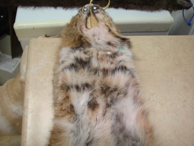 DSC03964.jpg
