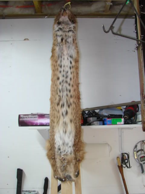 DSC03966.jpg