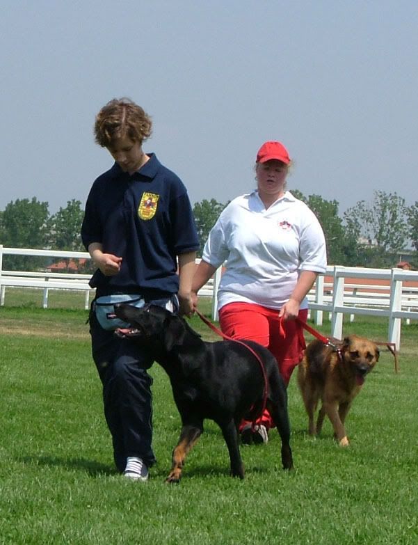 DSCF-cacib-122.jpg