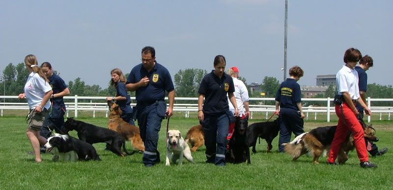 DSCF-cacib-124.jpg