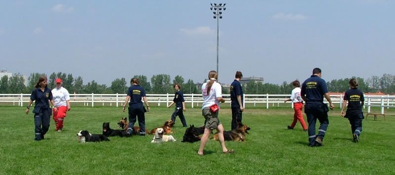 DSCF-cacib-133.jpg