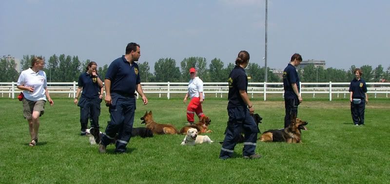 DSCF-cacib-136.jpg