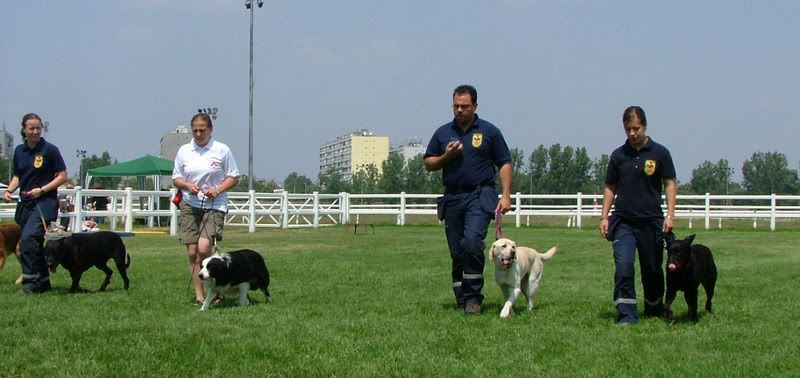 DSCF-cacib-139.jpg