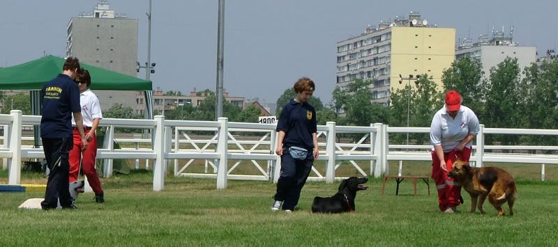 DSCF-cacib-142.jpg