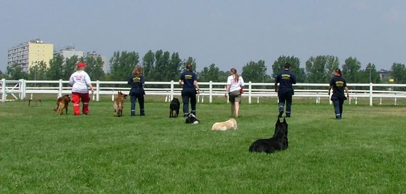 DSCF-cacib-147.jpg