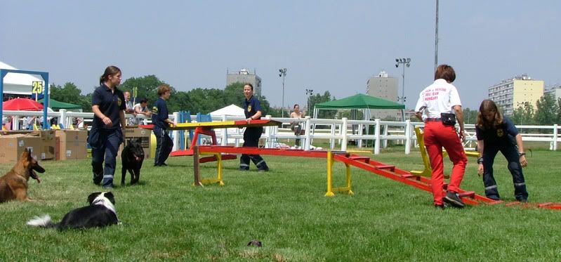 DSCF-cacib-162.jpg
