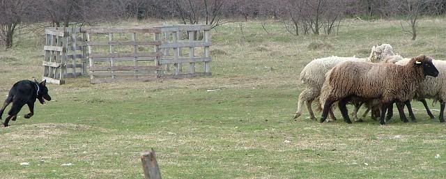 DSCF4619.jpg