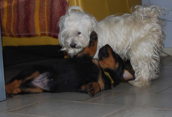 DSC_0054.jpg