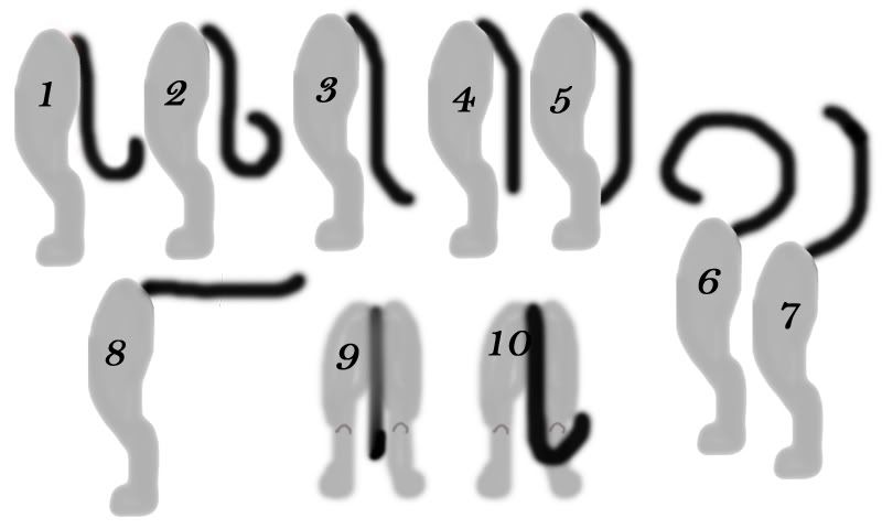 tail-1.jpg