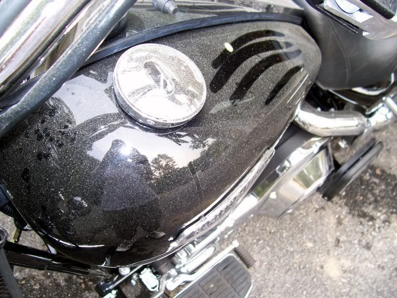 F350andHarley008.jpg