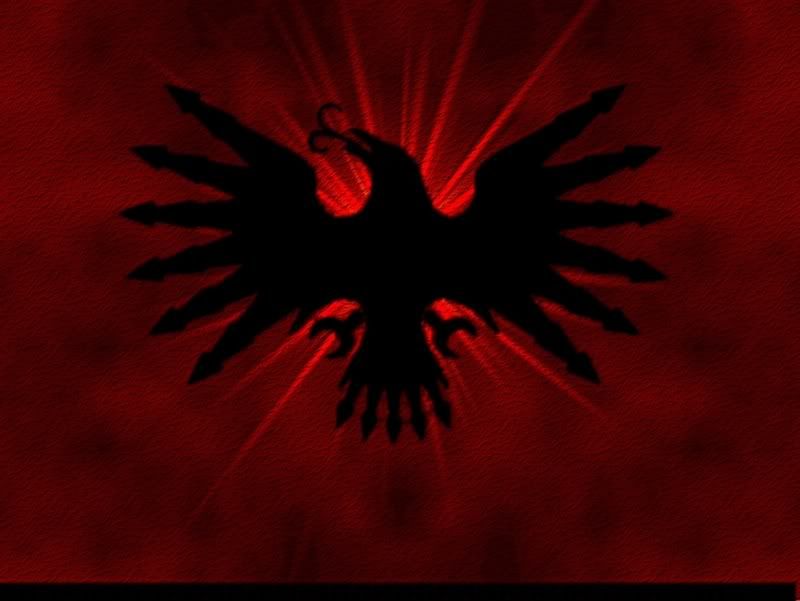 Blood Ravens Flag