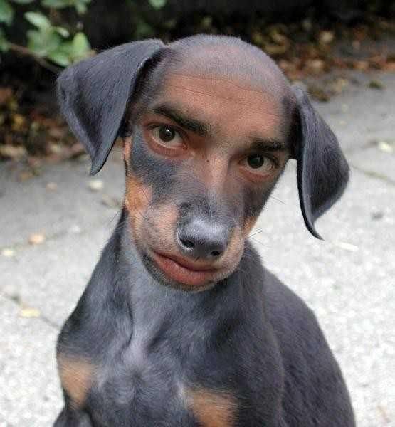 http://i134.photobucket.com/albums/q110/KakitaDoji/Funny%20Pics/WTF.jpg