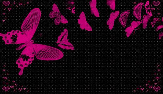 pink butterfly Pictures, Images and Photos