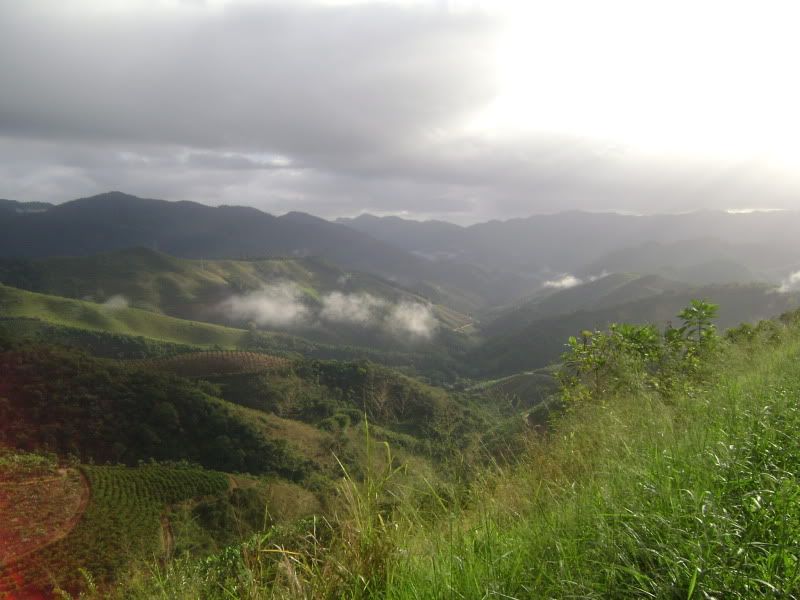 [Imagem: DSC01411.jpg]