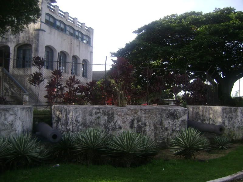 [Imagem: DSC01432.jpg]