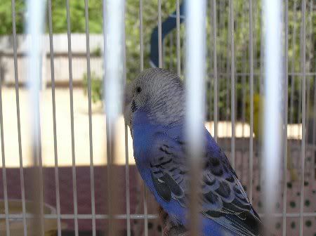 PB080418_450x336.jpg
