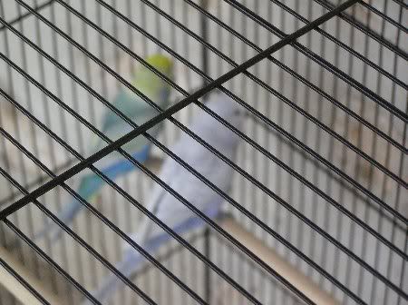 PB140426_450x336.jpg