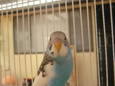 PC100433_450x336.jpg