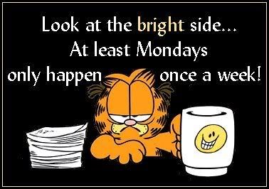 Monday Garfield Pictures, Images and Photos