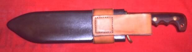 W49_Sheath_3.jpg