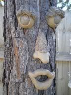 tree.jpg