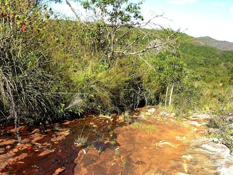DascendenshabitatEofDiamantina1.jpg