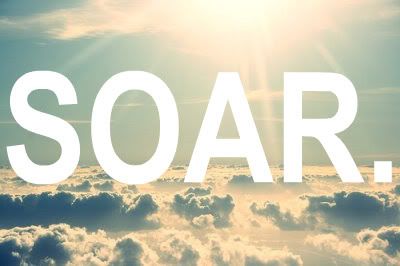 soar. Pictures, Images and Photos