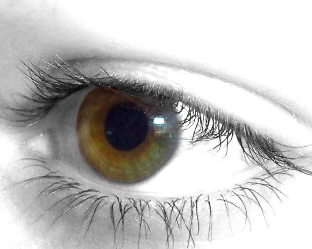 Brown eye Pictures, Images and Photos