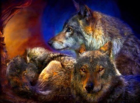 COLORED WOLVES photo COLORWOLVES.jpg