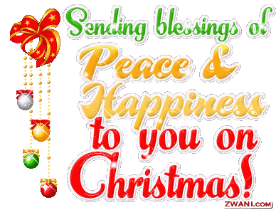 CHRISTMAS BLESS photo 2ornaments-blessings.gif