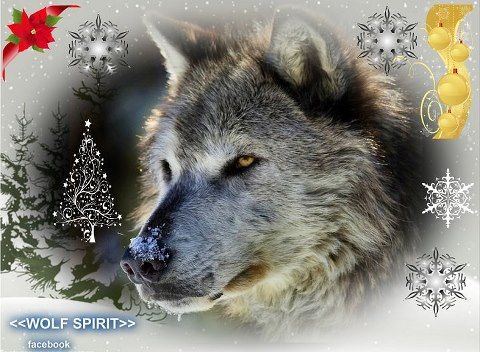 CHRISTMAS WOLF photo CHRISTMASWOLF-1.jpg