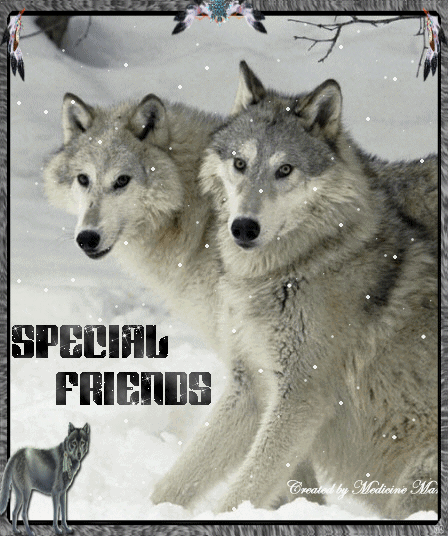 SPECIAL FRIENDS photo SnowWolves1.gif