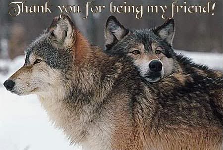 WOLF FRIENDS photo WolfFriends.jpg