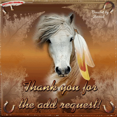 THANK FOR ADD photo indhorsewindtyadreq.gif