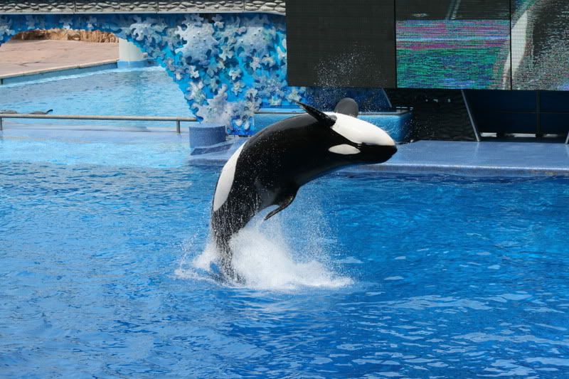 IMAGE: http://i134.photobucket.com/albums/q114/sheckells27/IMG_1305.jpg