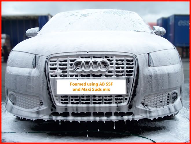 AUDIS303.jpg