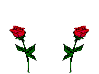 two kissing red roses Pictures, Images and Photos