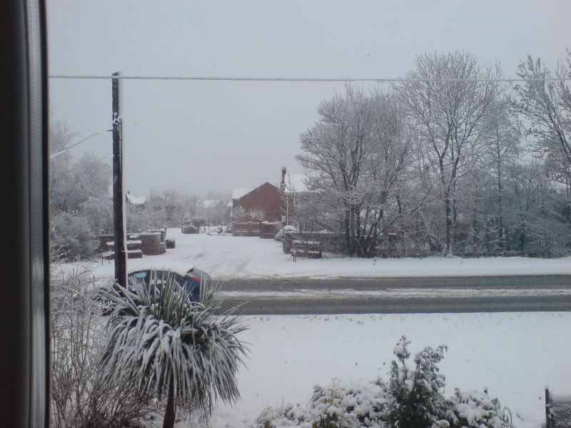 DSC00140.jpg