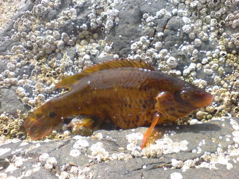 DSC00299.jpg